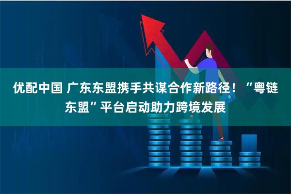 优配中国 广东东盟携手共谋合作新路径！“粤链东盟”平台启动助力跨境发展