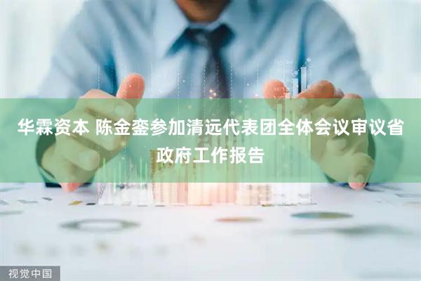 华霖资本 陈金銮参加清远代表团全体会议审议省政府工作报告