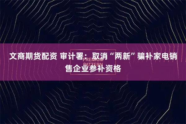 文商期货配资 审计署：取消“两新”骗补家电销售企业参补资格