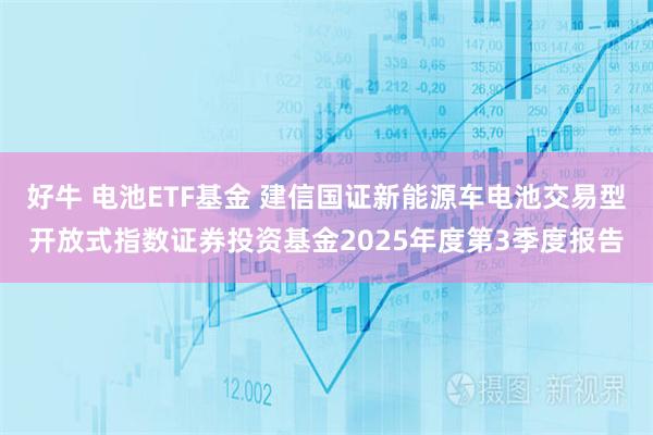 好牛 电池ETF基金 建信国证新能源车电池交易型开放式指数证券投资基金2025年度第3季度报告